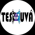 Teshuva Yeshua